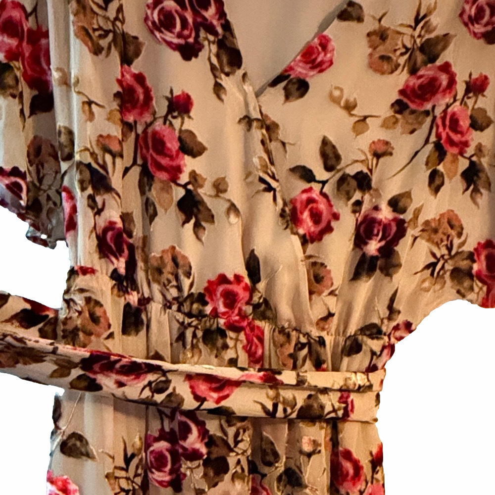 Alice + Olivia Clarine Velvet Burnout | EUC | Sz 6 - Picture 6 of 7